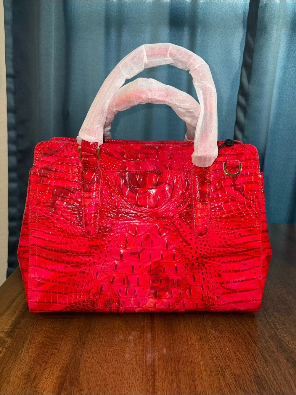 Brahmin ⭐️nwt—retired no